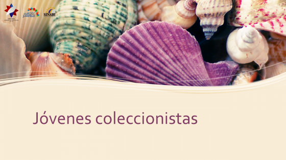 Un grupo de conchas de todo tamaño y diferentes colores, en la parte superior y en la parte inferior el título: Jóvenes coleccionistas