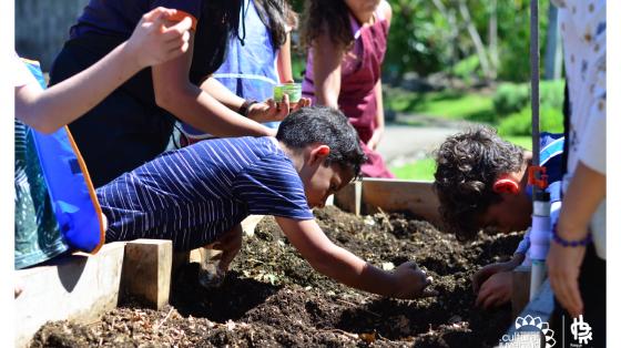 Taller de Agricultura Ecológica Niños cultivando en huertas