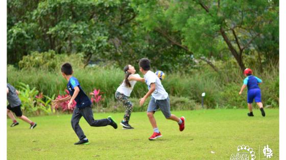 Cuatro niños jugando con un balon, en un espacio verde