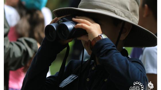 Niño con sombrero y binóculos viendo aves 