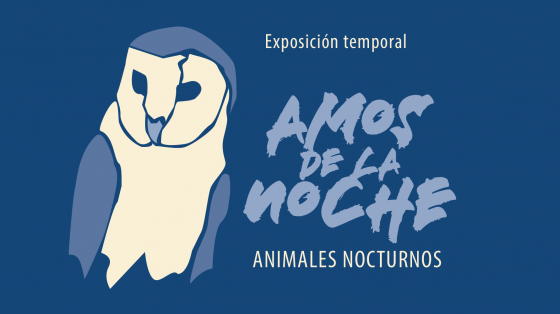 Exhibición temporal "Amos de la noche. Animales nocturnos". Museo Nacional Exhibición temporal "Amos de la noche. Animales nocturnos". Museo Nacional