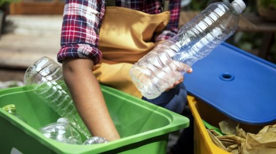 Manos de un hombre separando botellas de plástico reciclables
