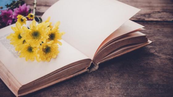 Libro abierto sobre un fondo de madera vieja y un ramo de flores amarillas encima