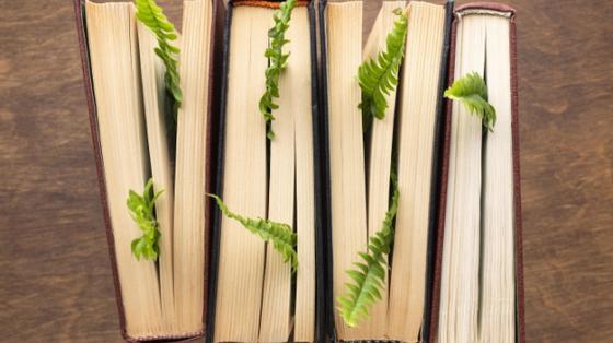 Vista superior de libros con plantas