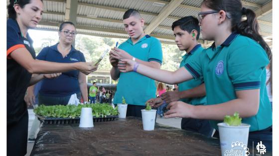 Matrícula de los cursos del proyecto Moviéndonos con Libertad - Área Ambiental Chicos aprendiendo a sembrar lechuga