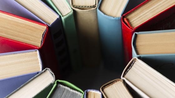 Círculo de libros de colores de manera vertical. 