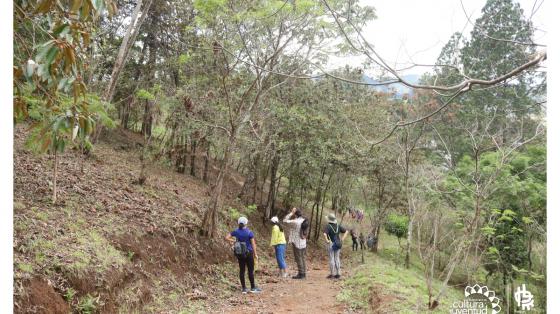 Grupo de personas haciendo un recorrido en el PLL y reconociendo la importancia de las áreas verdes urbanas