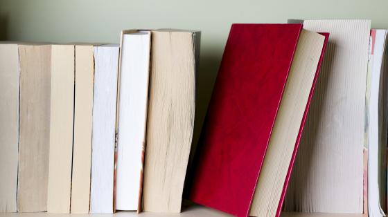 Libro rojo en grupo de libros ordenados horizontalmente. 