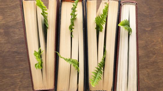 Composición de libros y plantas.