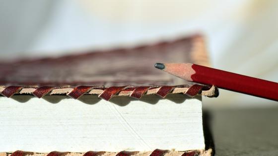 Fotografía de un libro cerrado y encima un lápiz de grafito. 