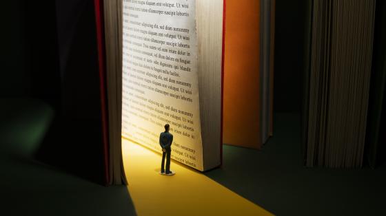 Imagen de un libro abierto y una figura de una persona al frente. 