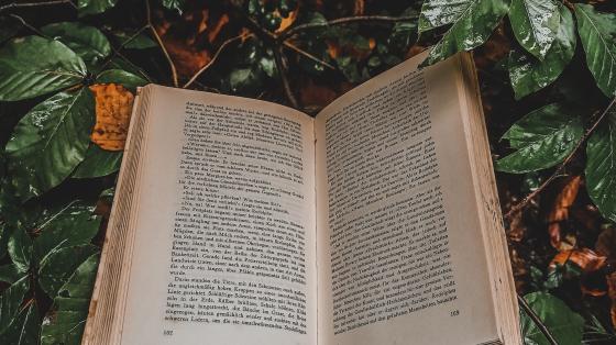 Fotografía de un libro abierto abierto a la mitad. EL libro se encuentra en un suelo de tierra con hojas mojadas.