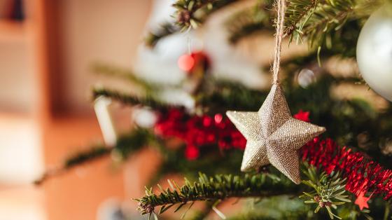 Fotografía enfocando un ornamento de estrella en un árbol de navidad.
