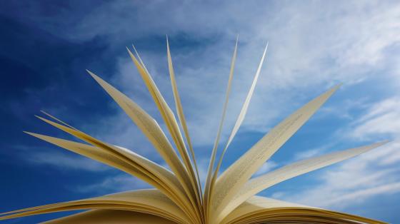 El libro viajero De fondo el cielo, y un libro abierto.
