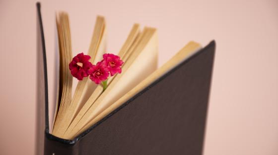 Imagen fondo color rosa pastel y enfocado un libro medio abierto con 3 pequeñas flores colocadas entre las páginas.