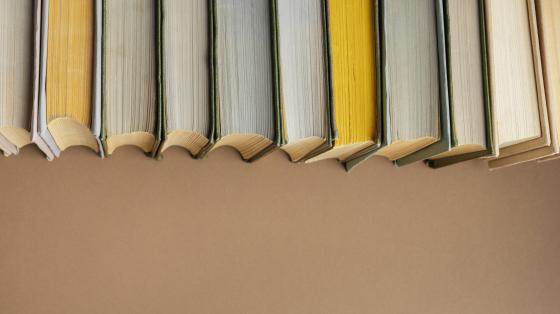 Sobre un fondo beige, una fila de libros en la parte superior. 