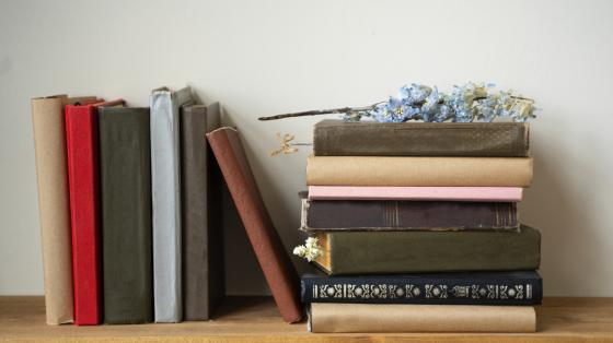 Fondo blanco. Sobre una mesa de madera, a la izquierda libros ordenados verticalmente y a la derecha varios libros apilados horizontalmente y encima una flor.