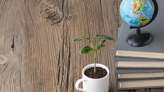 Sobre una mesa de madera, una planta sembrada en una taza y un globo terraqueo sobre una torre de libros