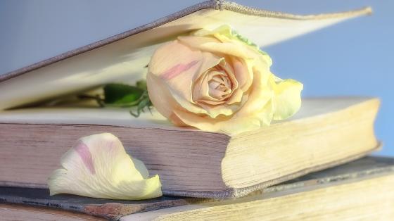 Libro entreabierto con una rosa sobresaliendo del libro