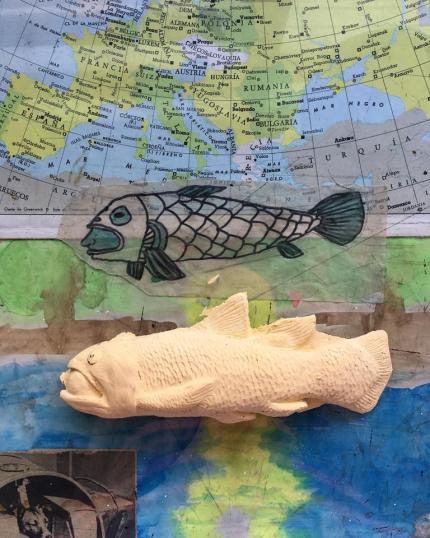 Exposición virtual muestra el mundo de los peces en el marco del Día Internacional de los Océanos 