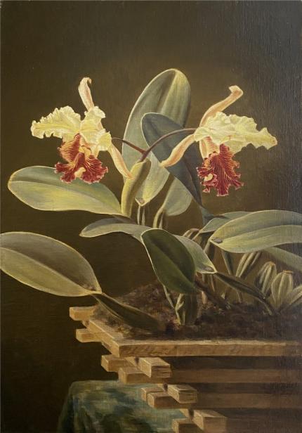 Emil Span - Cattleya dowiana aurea. Sin fecha (primera mitad del siglo XX) - Óleo sobre lienzo - Museo de Arte Costarricense. Traslado del Liceo de Costa Rica, 2020 - Foto Rafael Venegas. Emil Span - Cattleya dowiana aurea. Sin fecha (primera mitad del siglo XX) - Óleo sobre lienzo - Museo de Arte Costarricense. Traslado del Liceo de Costa Rica, 2020 - Foto Rafael Venegas.
