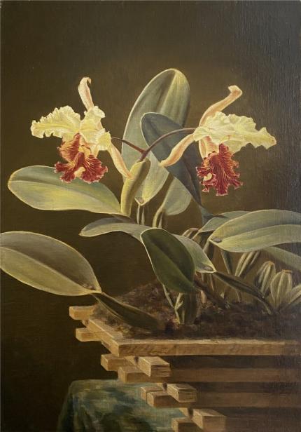 Emil Span - Cattleya dowiana aurea. Sin fecha (primera mitad del siglo XX) - Óleo sobre lienzo - Museo de Arte Costarricense. Traslado del Liceo de Costa Rica, 2020 - Foto Rafael Venegas.