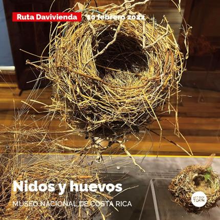 Exposición "Nidos y huevos", Museo Nacional de Costa Rica.