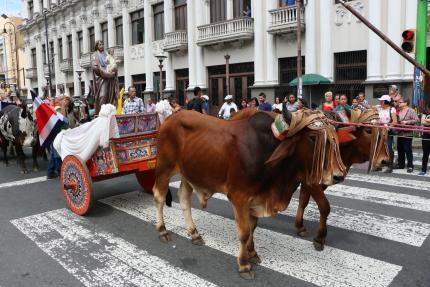 Desfile se realizará este domingo 27 de noviembre, desde las 9 a.m., saliendo de la estatua de León Cortés, en La Sabana, rumbo a la Plaza de la Democracia