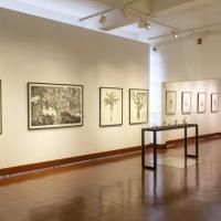 . Museo de Arte Costarricense, Exposición: Mundos habitables, Christian Wedel, Fotografía: Gabriel González Chavarría 2021