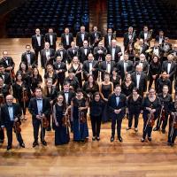 Orquesta Sinfónica Nacional se presentará con diez directores invitados en sus conciertos de Temporada Oficial 2024