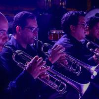 Banda de Conciertos de Puntarenas ofrecerá gira musical por Región Brunca