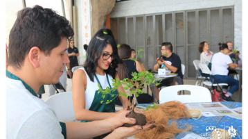 Personas en una mesa realizando trabajos con plantas