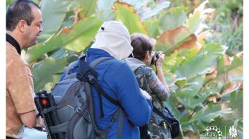 Taller de fotografía ambiental