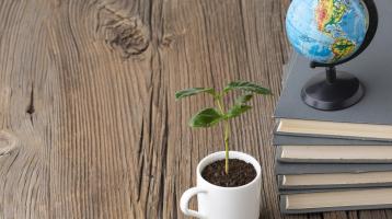 Composición de libros, globo terráqueo y planta.