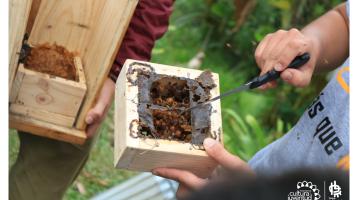 Celebración del día de las abejas | Parque La Libertad