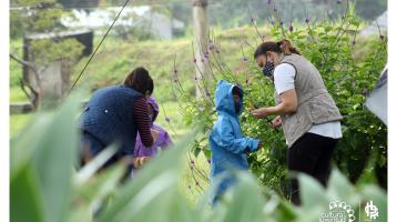 Taller de Polinizadores | Parque La Libertad