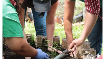 Curso de Hortalizas | Parque La Libertad