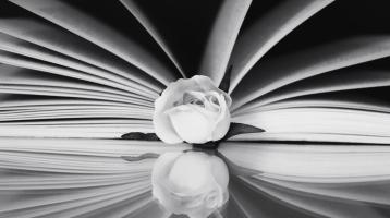 En tonos blanco y negro un libro abierto y una rosa